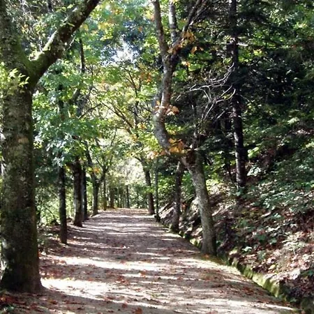 Pedacinho Do Ceu فييرا دو مينهو