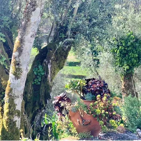 Pedacinho Do Ceu بيت للعطل