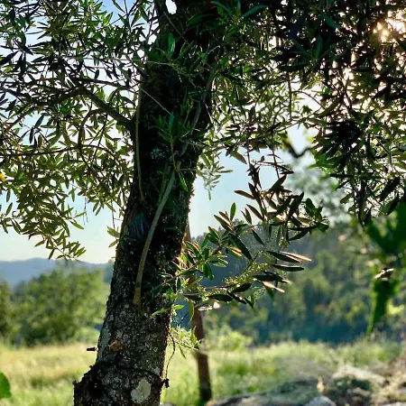 Pedacinho Do Ceu Casa de Férias Vieira do Minho
