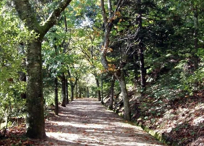 Pedacinho Do Ceu فييرا دو مينهو