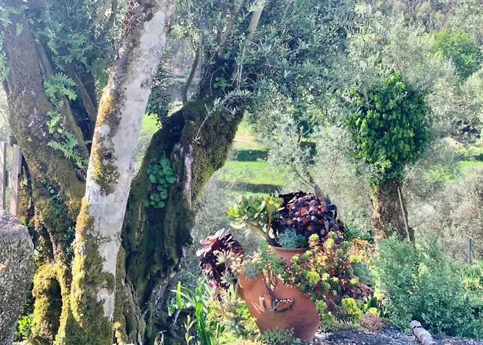 Pedacinho Do Ceu Feriehus